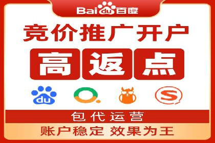 SEM推广策略：成功案例解析与效果评估