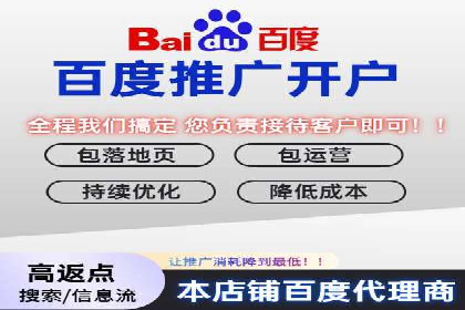 百度SEO推广案例：实战解析与效果展示